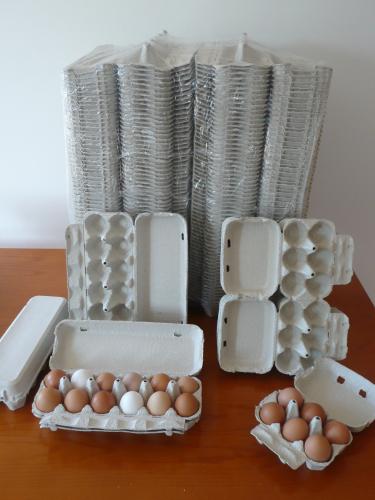 Caixas de ovos de papelão caixas de ovos d� - Imagen 1