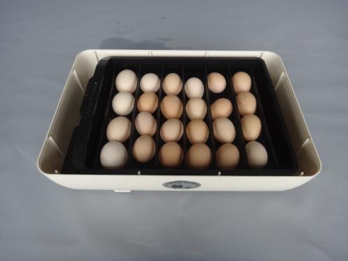 Chocadeira automatica 24 huevos - Imagen 3